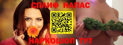 крисы Кунгур
