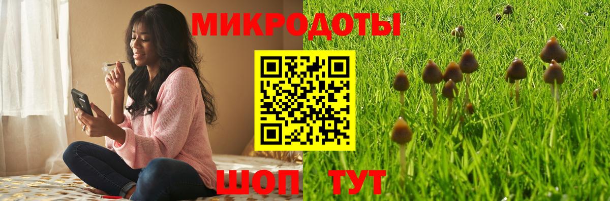 Урус-Мартан  Псилоцибиновые грибы мицелий  Вход с VPN 